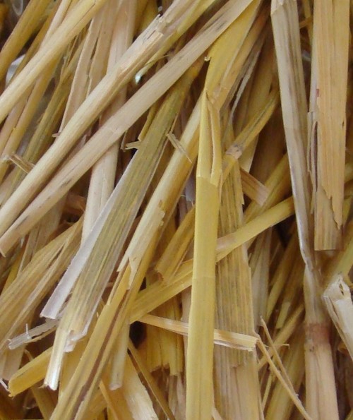 Straw samples